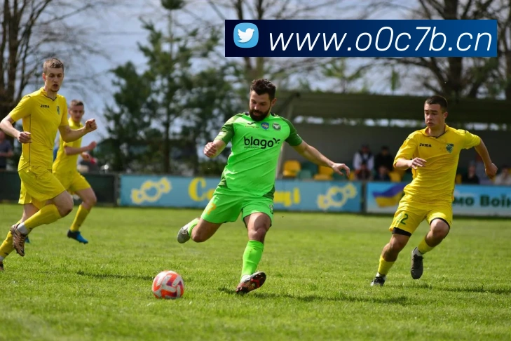 九游app官网入口平台生态图